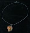 Handcrafted Macrame Ammonite Necklace #4372-1